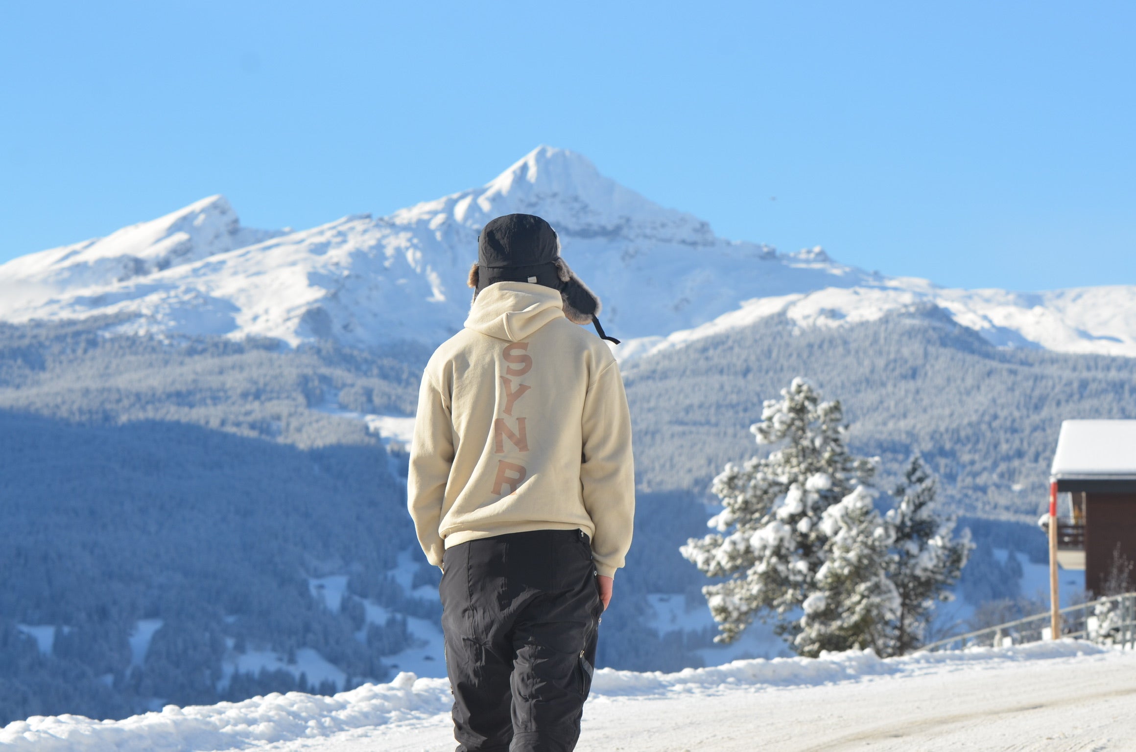 Limited Hoodie - SYNR V2